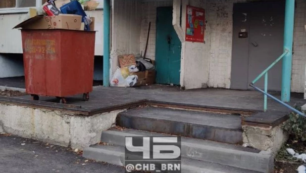 Мусор в Барнауле на ул. Попова, 69, 75.