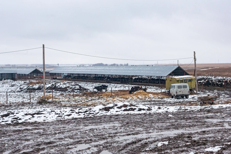 СПК &quot;Бурановский&quot;