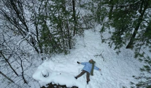 Зимний облик Сибири 