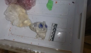 В Кулунде полицейские обнаружили у мужчины героин в морозильнике.