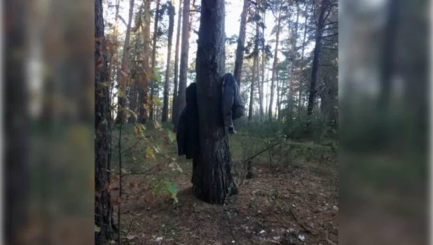 В Бийском лесу неизвестные «одели» деревья в куртки.
