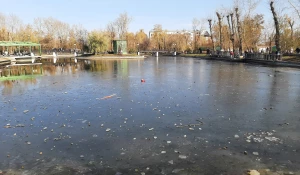 Испорченный барнаульцами пруд 