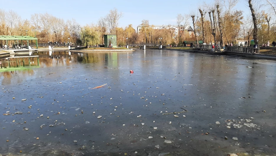 Испорченный барнаульцами пруд 
