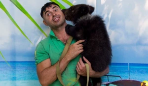 Медведица Глаша