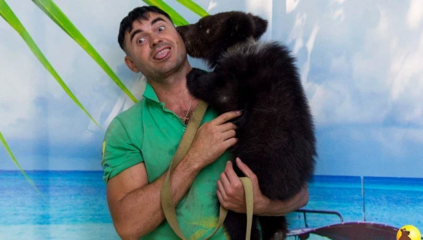 Медведица Глаша