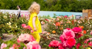 Розарий в Барнаульском зоопарке 