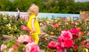 Розарий в Барнаульском зоопарке 