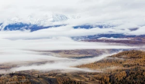 Природа Алтая.