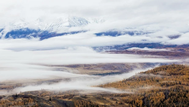 Природа Алтая.