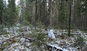 СКР по Ханты-Мансийскому автономному округу-Югре