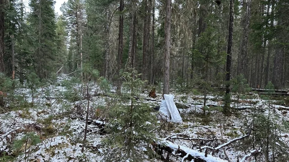 СКР по Ханты-Мансийскому автономному округу-Югре