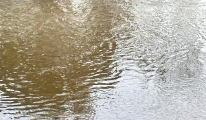 У популярного развлекательного комплекса барнаульцы обнаружили в реке странные разводы.