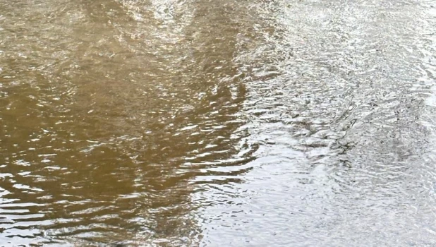 У популярного развлекательного комплекса барнаульцы обнаружили в реке странные разводы.