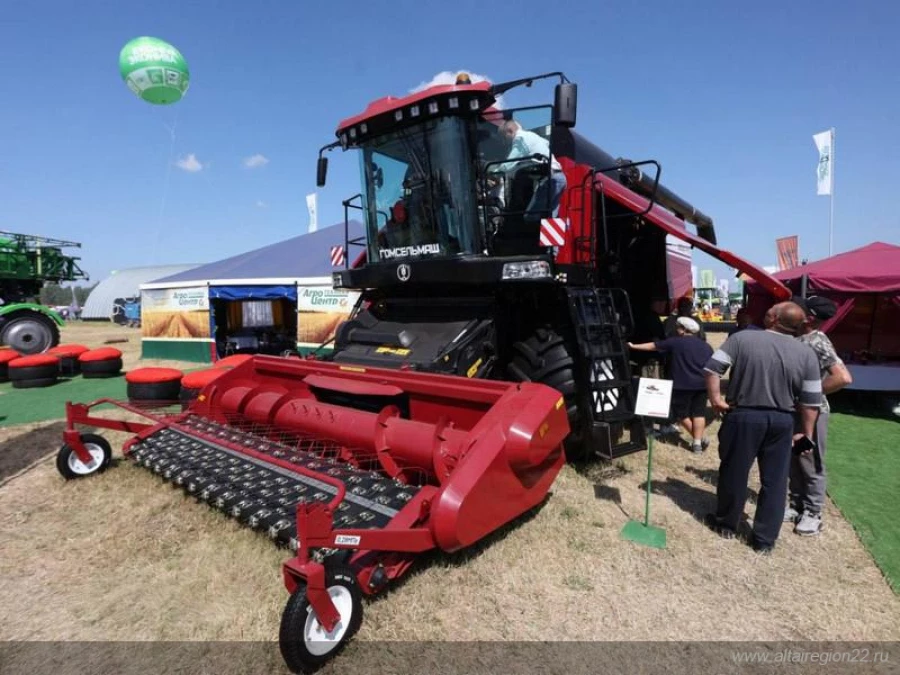 День Сибирского поля 2025