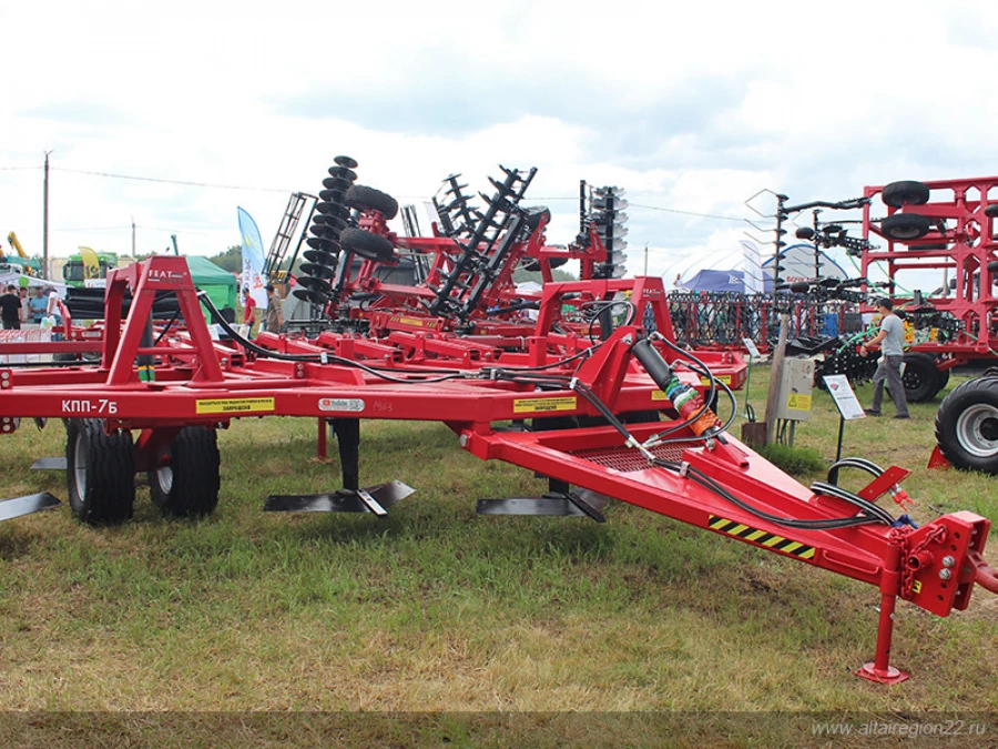 День Сибирского поля 2025