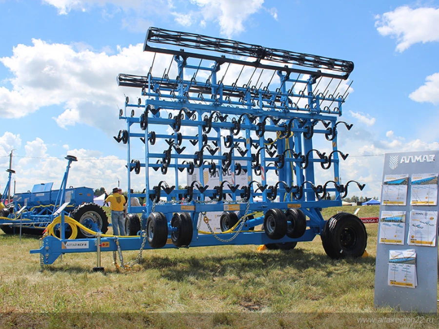 День Сибирского поля 2025