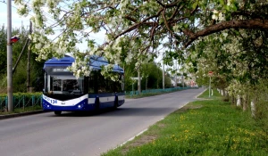 В 2018 году в Рубцовске внедрили безналичную оплату проезда в городских автобусах.