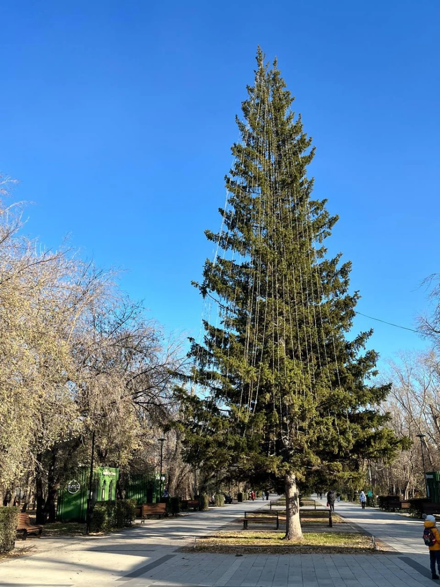 Новогодняя елка в Изумрудном