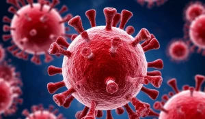 Вирус. Инфекция. Болезнь