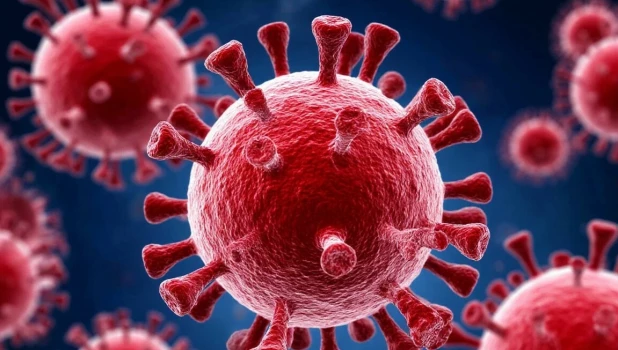 Вирус. Инфекция. Болезнь