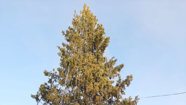 Новогодняя елка в парке «Изумрудный».