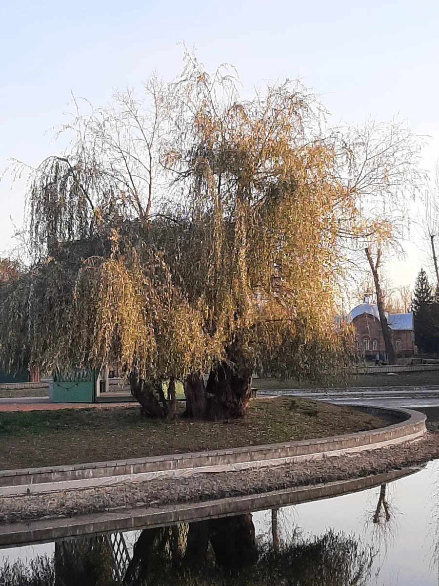 В парке «Изумрудный».