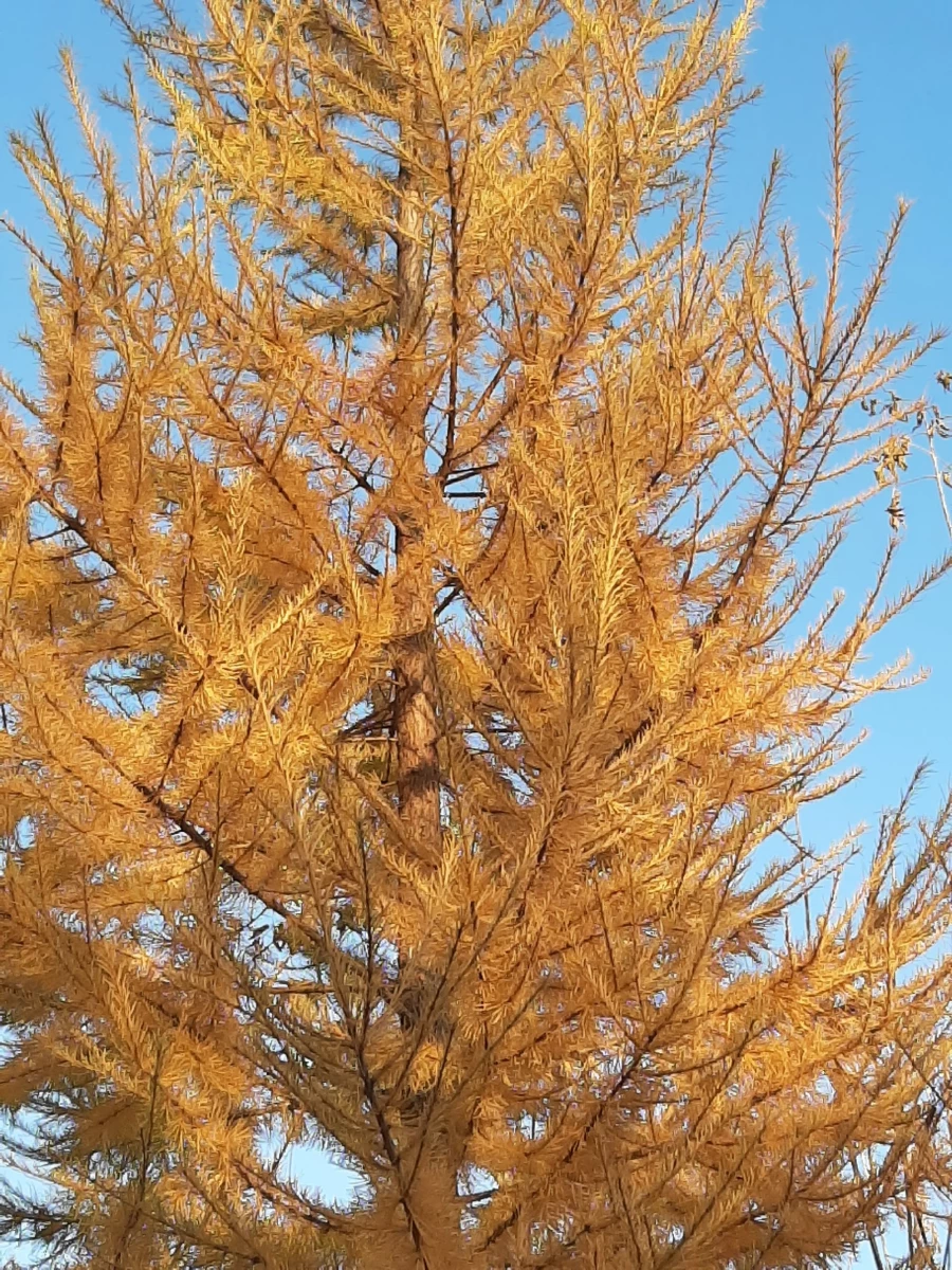 В парке «Изумрудный».