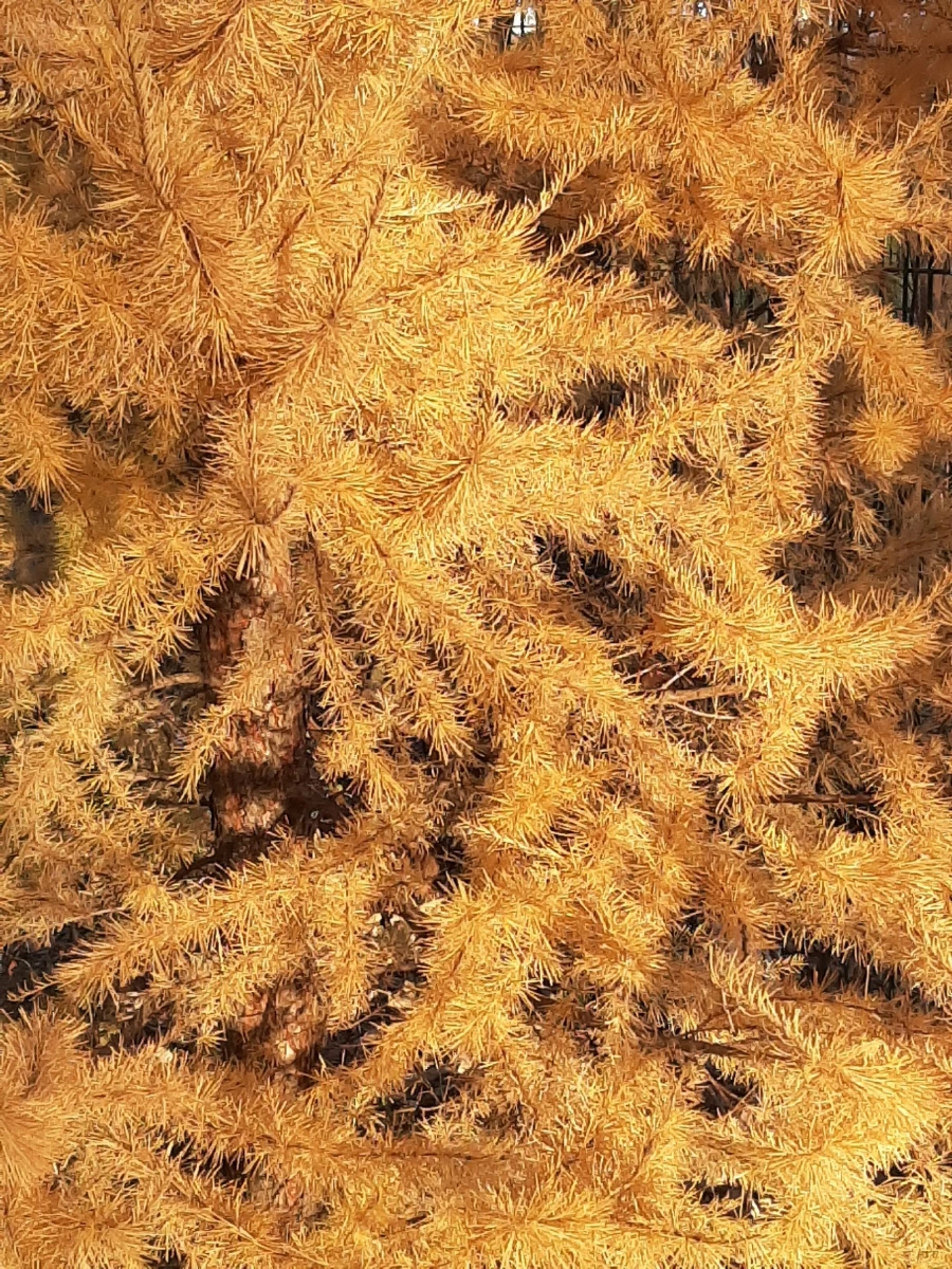 В парке «Изумрудный».