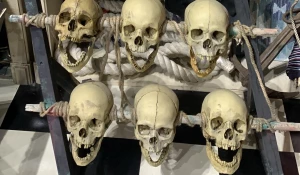 Черепа. Музей смерти. 
