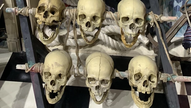 Черепа. Музей смерти. 