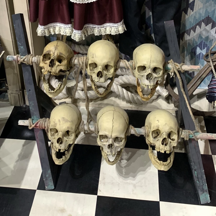 Черепа. Музей смерти. 