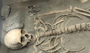 Череп, скелет, останки.