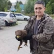 Полицейские спасли редкого орла с ранами в Алтайском крае 