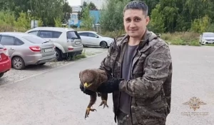 Уникальный орел со своими спасителями 