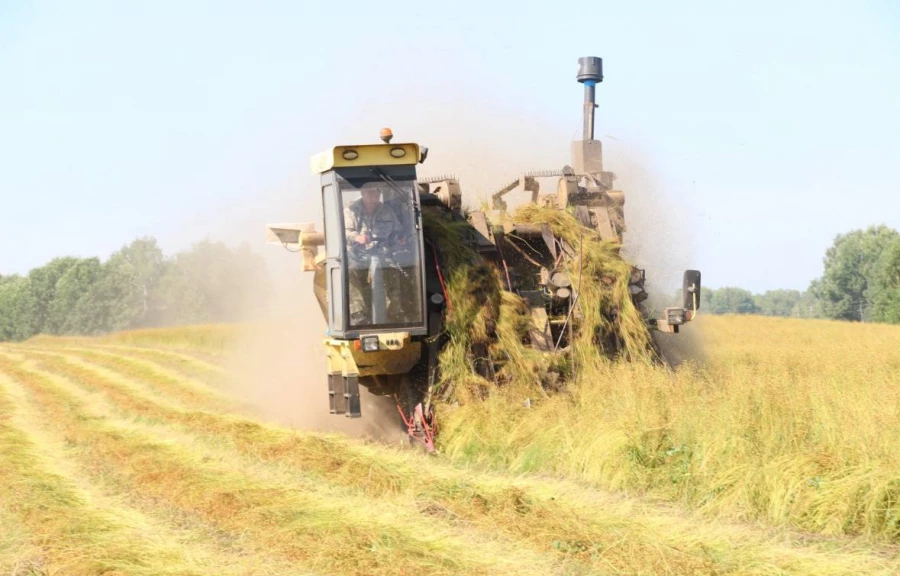 Уборочная кампания