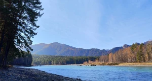 Катунь осенью.