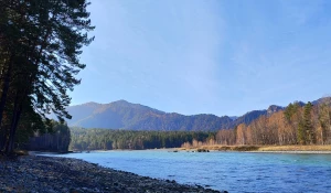 Катунь осенью.