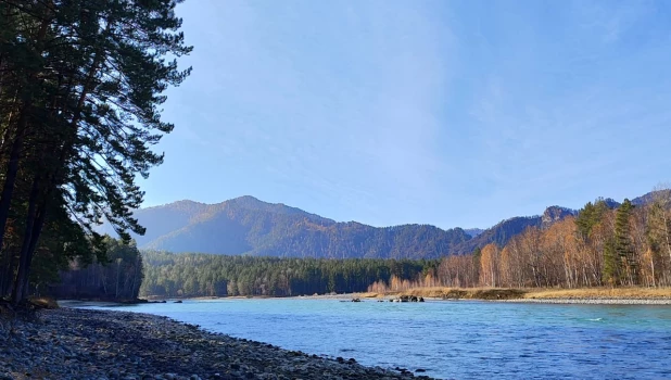 Катунь осенью.