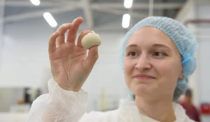 Один день в роли изготовителя полуфабрикатов провел журналист altapress.ru.