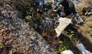 Священный родник в горе мусора на Алтае