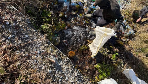 Священный родник в горе мусора на Алтае