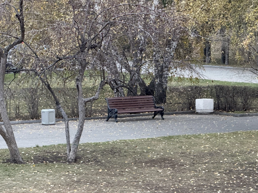 Площадь Сахарова. Лавочка