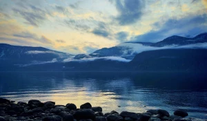 Кордон «Кокши».