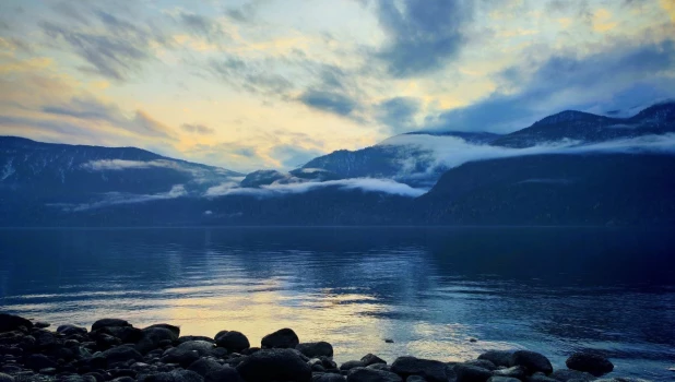 Кордон «Кокши».