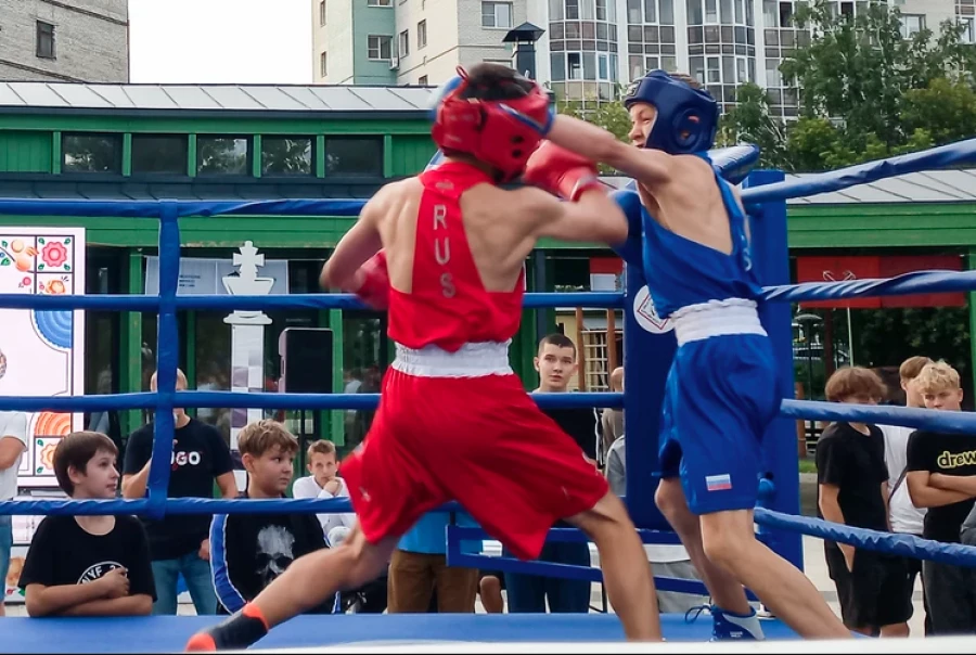 Соревнования по шахбоксу. 