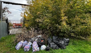 Мусорка в районе Приречного сквера.