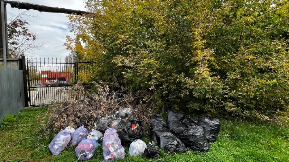 Мусорка в районе Приречного сквера.