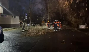 Из-за сильного шторма в Барнауле случилось 14 происшествий.