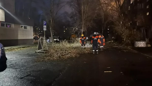 Из-за сильного шторма в Барнауле случилось 14 происшествий.