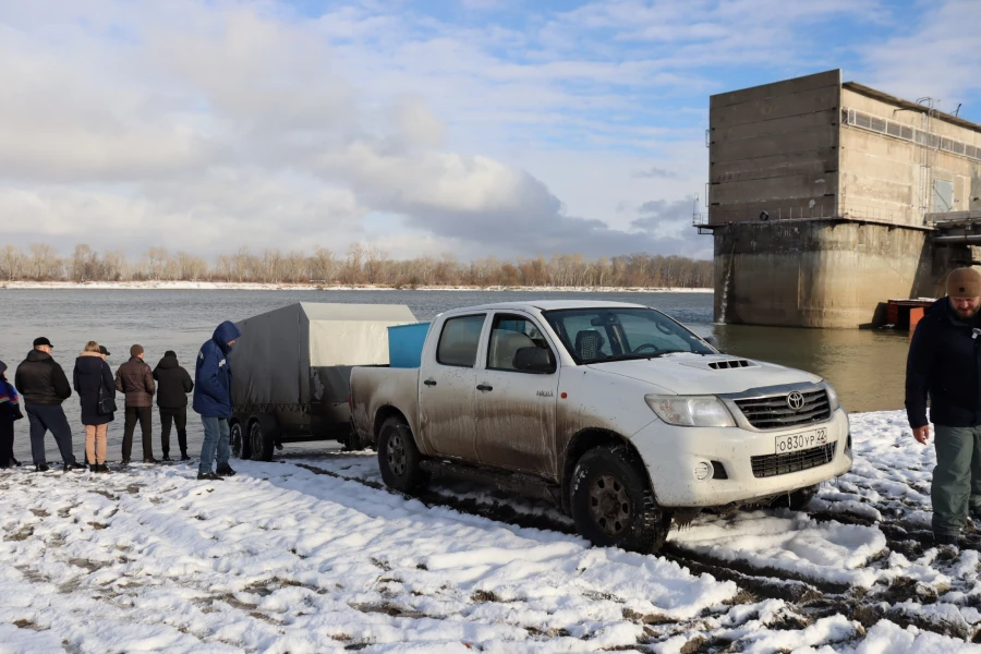 5 ноября в Обь выпустили мальков сазана.
